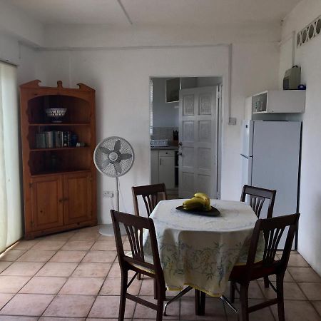 Carenage View Apartman St. George's Kültér fotó