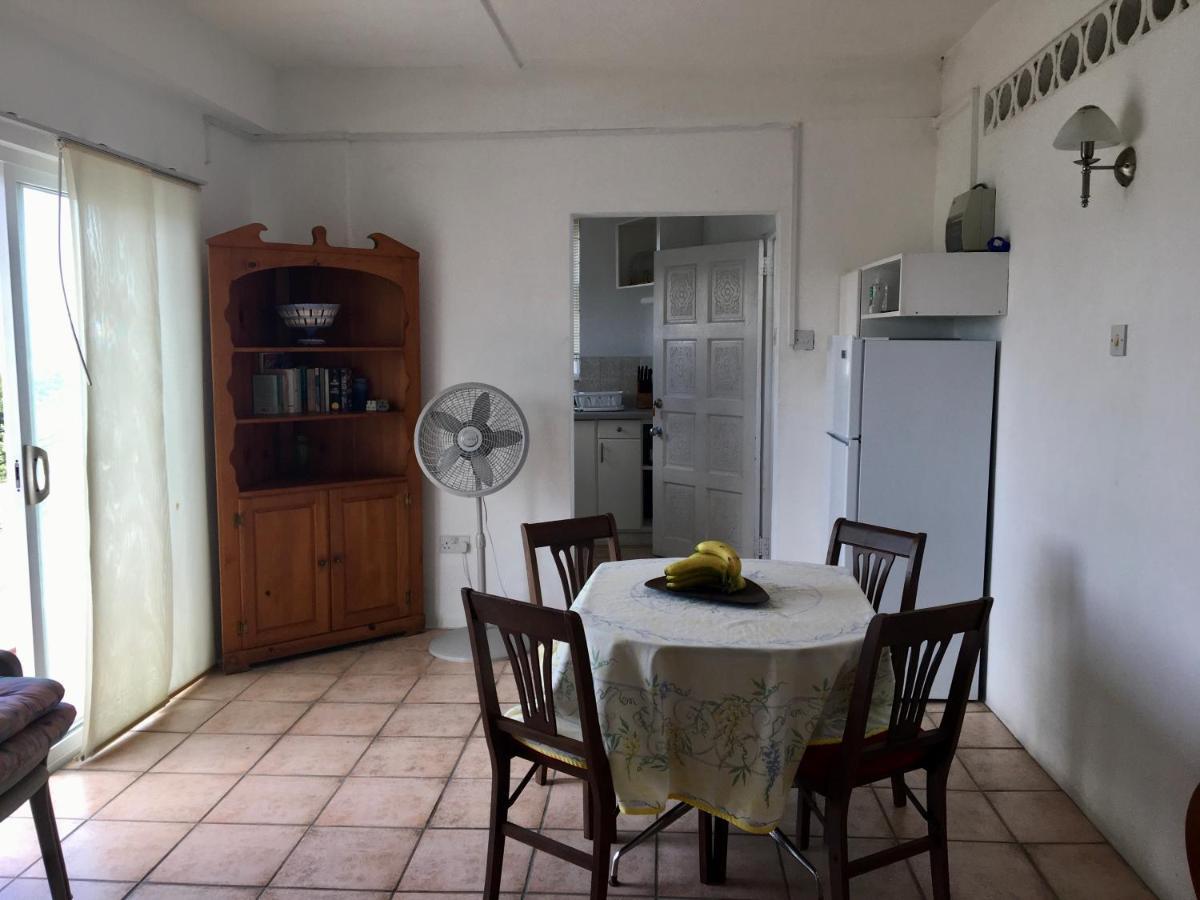Carenage View Apartman St. George's Kültér fotó