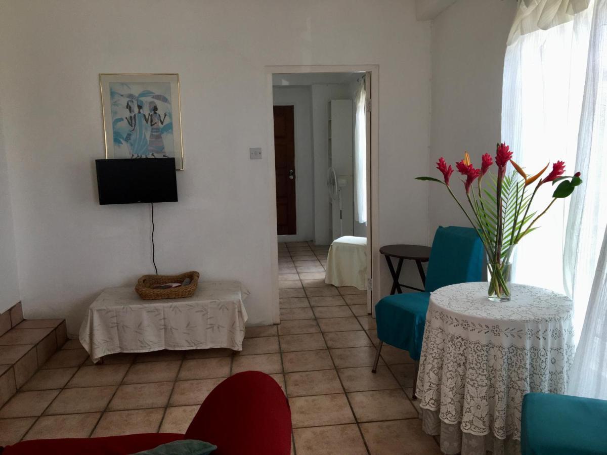 Carenage View Apartman St. George's Kültér fotó