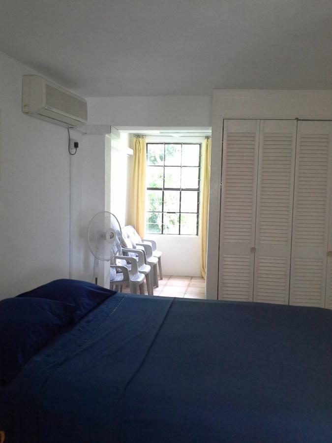 Carenage View Apartman St. George's Kültér fotó