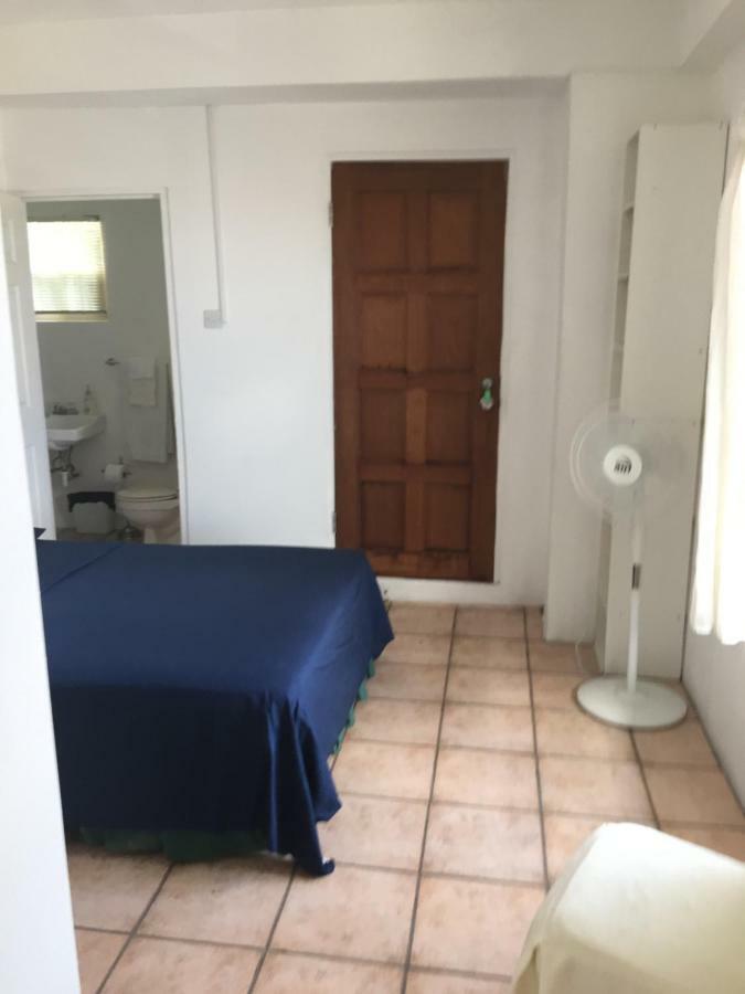 Carenage View Apartman St. George's Kültér fotó