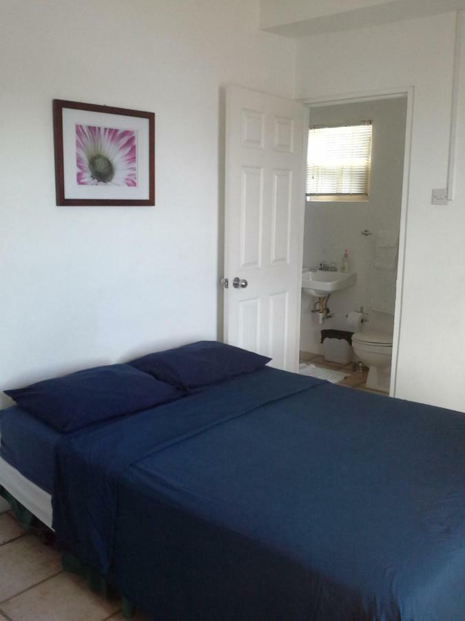 Carenage View Apartman St. George's Kültér fotó